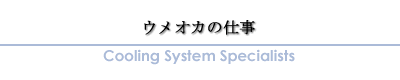 Cooling System Specialists